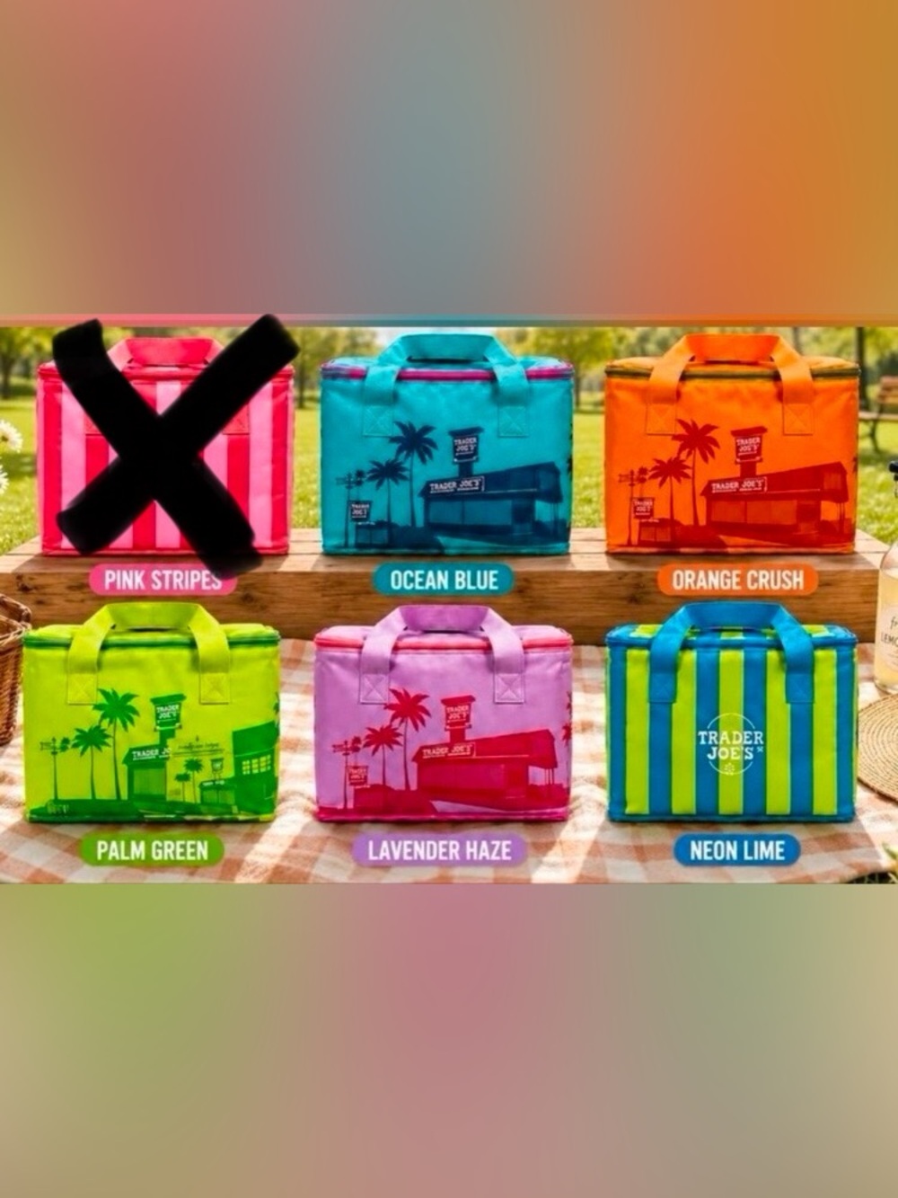 Trader Joe's Mini Insulated Tote Set Of 5 NWT